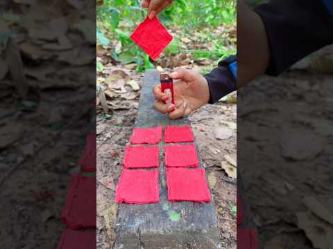 Survival Skills: SMART idea and USEFUL in forest #fruit #survival #bushcraft #camping #outdoors