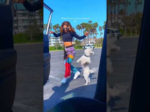 Dog dance. #ello