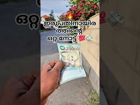 ✅💯ഇത്രയും പണം തന്നെ ധാരാളം🔥#europe#eu#vlogs#1k  #malayalam#malluvlogger#winter#foyou#fyp