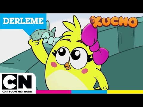 KUCHO | Cicinin Tüm Tokaları ❤️ | @cartoonnetworkturkiye