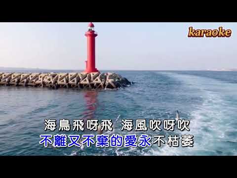 孫藝琪 海鳥飛呀飛karaokeKTV 伴奏 左伴右唱 karaoke 卡拉OK 伴唱 instrumental孫藝琪 海鳥飛呀飛karaoke