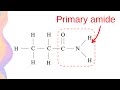 Properties and Characteristics of Amides