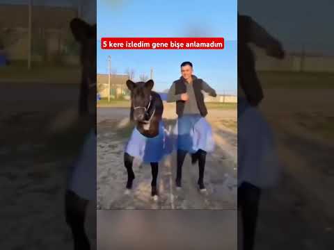 BANA BİRŞEYLER OLUYOR
