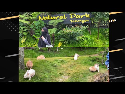 Natural park surga nya bermain anak ( Takengon part II )