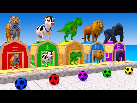 Long Slide Game With Elephant Gorilla Buffalo Hippopotamus Tiger - 3d Animal Game - Funny 3d Animals