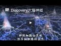 Understanding Brain Resilience and Recovery