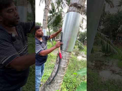 ইঁদুর থেকে রক্ষার চেষ্টা #viral #funny #shortvideo #farming