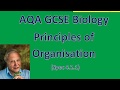 Biology Concepts and Organ Systems