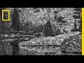 Ansel Adams and the Art of Photography