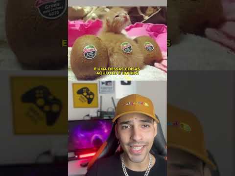 NÃO COMA NENHUMA DESSAS COISAS