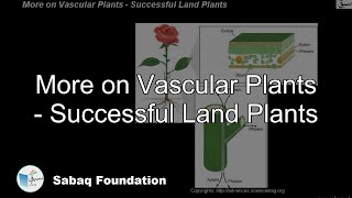 More on Vascular Plants - Successful Land Plants