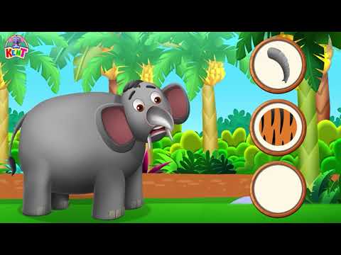 Guess the Missing Part of the Animal