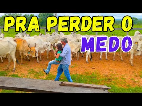 ADIVINHA O QUE ACONTECEU NA VACINAÇÃO DO GADO