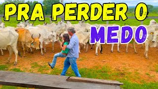 ADIVINHA O QUE ACONTECEU NA VACINAÇÃO DO GADO