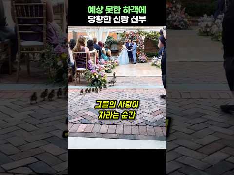 예상 못한 하객에 당황한 신랑 신부