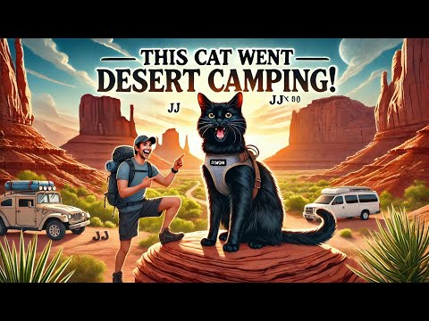 Should you take your Cat Desert Camping with you?