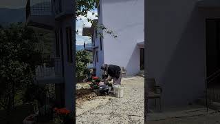 çiçek nasıl ekilir