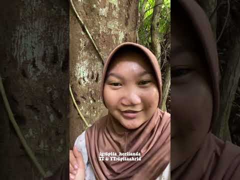 ngebolang di hutan nemuin apa aja #minivlog #adventure #adayinmylife 