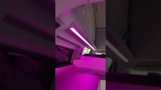 Ambient Lighting in the New Ford Transit Custom Nugget