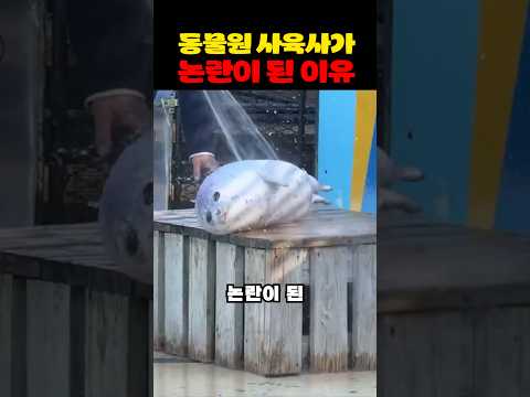 동물원 사육사가 논란이 된 이유