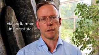Har du koll på prostatacancer? Fem vanliga frågor om PSA-prov och prostatacancer