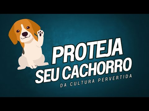 Deixe seu Cachorro LONGE dessa mulher!