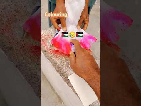 Sab palestine ko support kare😢🫤🇵🇸#ytshorts#palestine#pigeonpigeon#kabutar#shortreels#cr7 #shorts