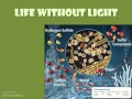 Ecosystem Energy and Organisms