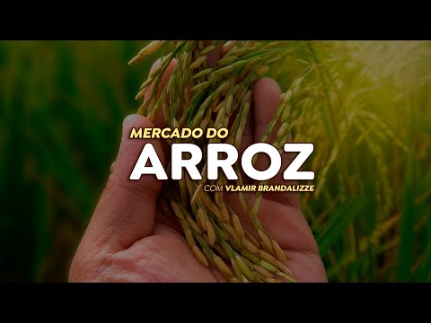 Exportações de arroz crescem em janeiro e são alternativas em meio a alta oferta.