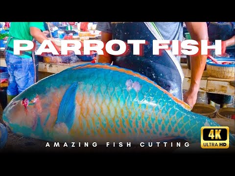 AMAZING FISH CUTTING SKILLS || FAST PARROT FISH CUTTING SKILLS