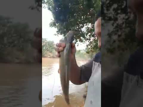 BOCA FECHADA NÃO ENTRA MOSQUITO!foi falar onde estava pescando o resultado não foi outro !