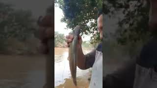 BOCA FECHADA NÃO ENTRA MOSQUITO!foi falar onde estava pescando o resultado não foi outro !