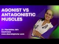 Muscle Function and Interaction
