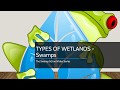 Swamp Characteristics and Importance