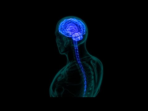 दिमाग के बारे मे रोचक तथ्य | Amazing Facts About Human Brain | Episode 99