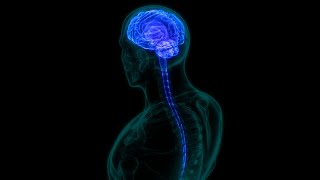 दिमाग के बारे मे रोचक तथ्य | Amazing Facts About Human Brain | Episode 99