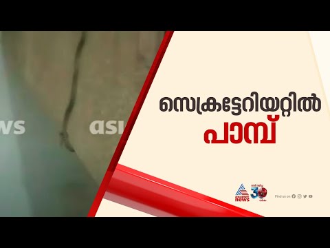 സെക്രട്ടറിയേറ്റിൽ പാമ്പ്, ജലവിഭവ വകുപ്പിലെ ഇടനാഴിയിലാണ് പാമ്പിനെ കണ്ടത് | Secretariat | Snake