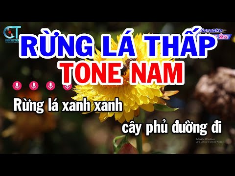 Karaoke Rừng Lá Thấp Tone Nam ( Bbm )  Nhạc Sống Mới | Karaoke Đồng Sen