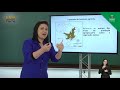 Agricultural Frontier Expansion in Brazil