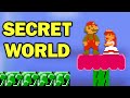 Minus World Glitch in Super Mario Bros