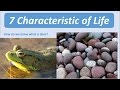 Exploring the 7 Characteristics of Life