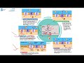 Neuroscience Concepts and Functions