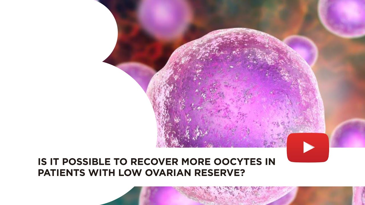 Double stimulation for low ovarian reserve