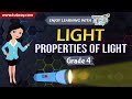 Light and Reflection Concepts