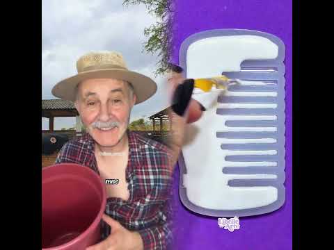 Hum1lh4ndo com classe a sua família