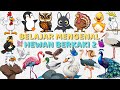 Tebak Nama Hewan Berkaki Dua