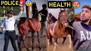 STOP THESE HORSES😱🚨S0CHA NAH! TH@ MP MA! GHOD0 K! AIS! HAL@T H0 JAYEG! 😰GHOD0 K@ M0TACHALAN KRD!YA