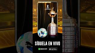 ¡Sigue la Copa Libertadores en vivo!