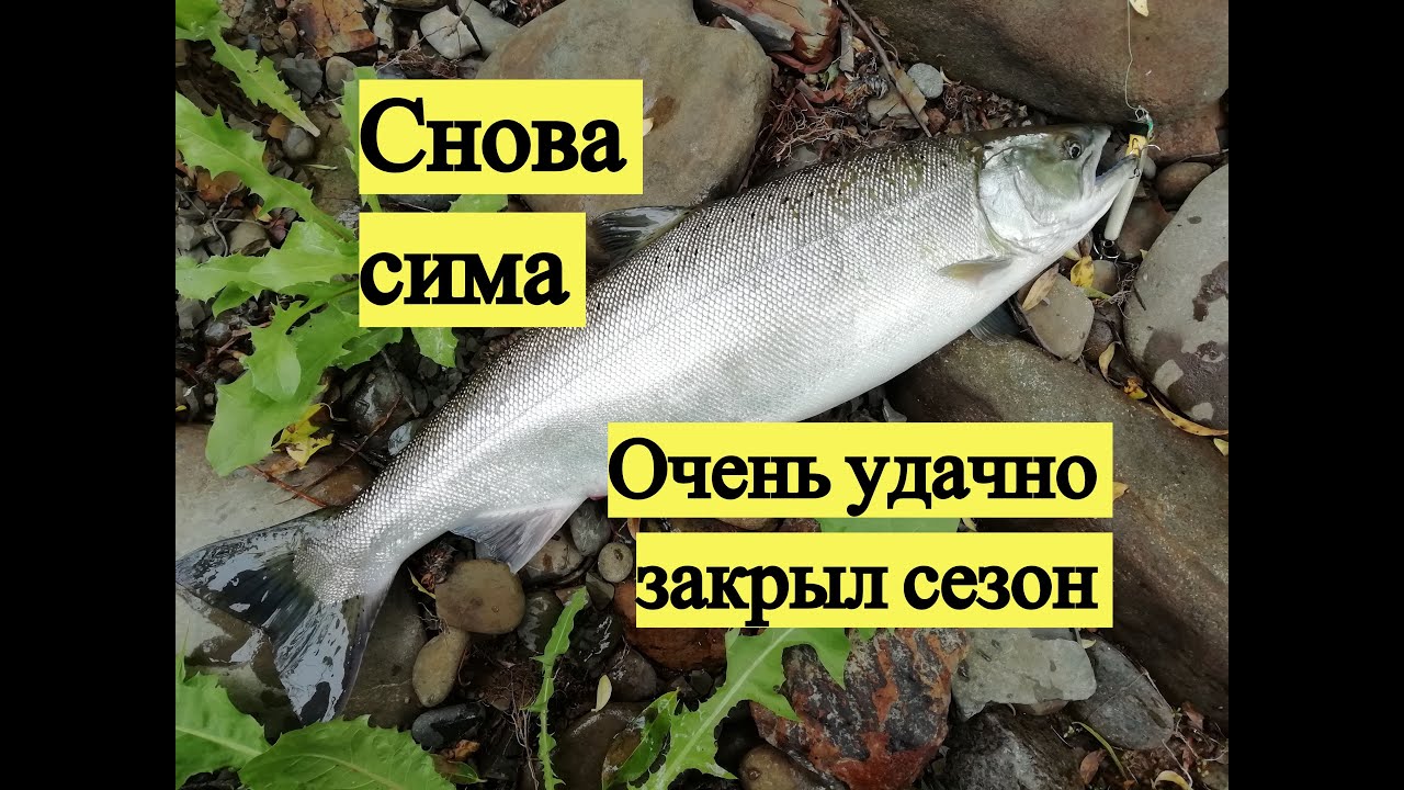 Снова сима. Очень удачно закрыл сезон