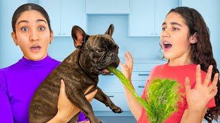 Our DOG Won't Stop THROWING UP!! *Pregnancy Symptoms*